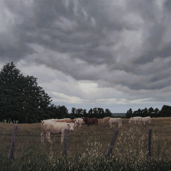 Storm Cows
