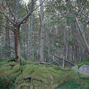 Oil Painting of a Forest setting with green moss in Canada